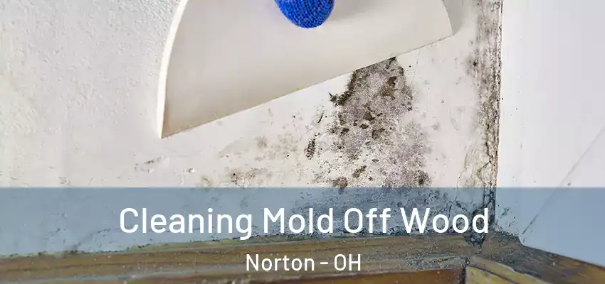  Cleaning Mold Off Wood Norton - OH