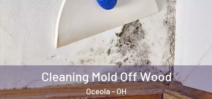  Cleaning Mold Off Wood Oceola - OH