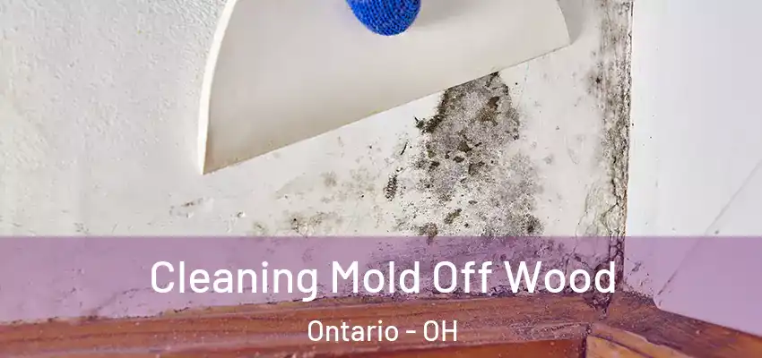  Cleaning Mold Off Wood Ontario - OH