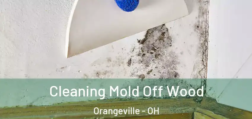  Cleaning Mold Off Wood Orangeville - OH