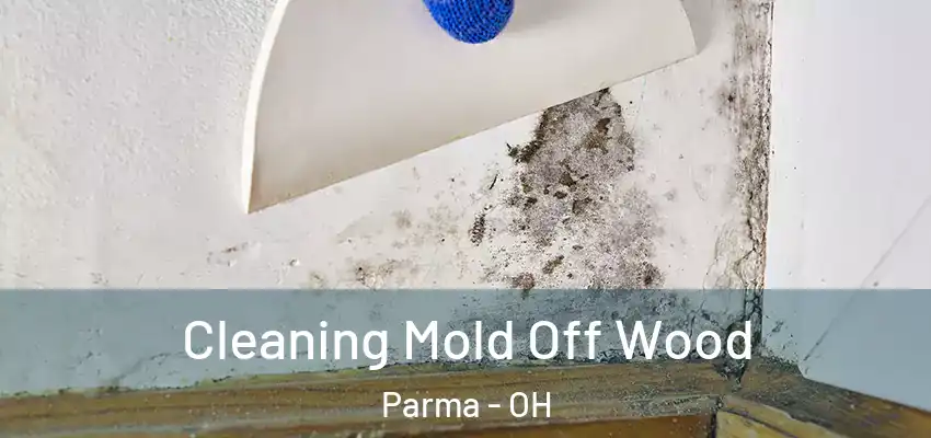  Cleaning Mold Off Wood Parma - OH