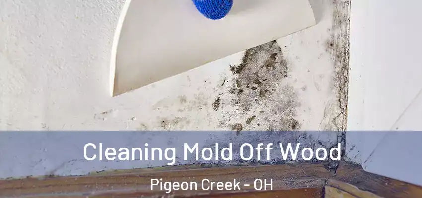  Cleaning Mold Off Wood Pigeon Creek - OH