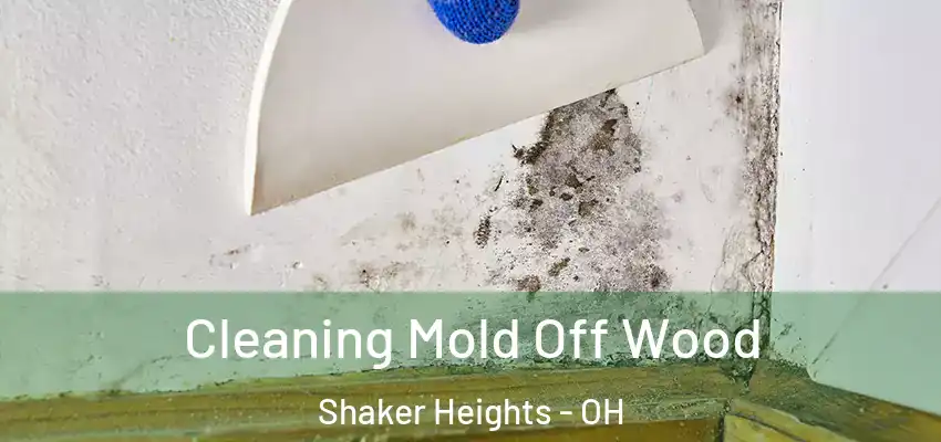  Cleaning Mold Off Wood Shaker Heights - OH