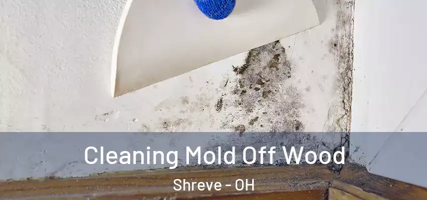 Cleaning Mold Off Wood Shreve - OH