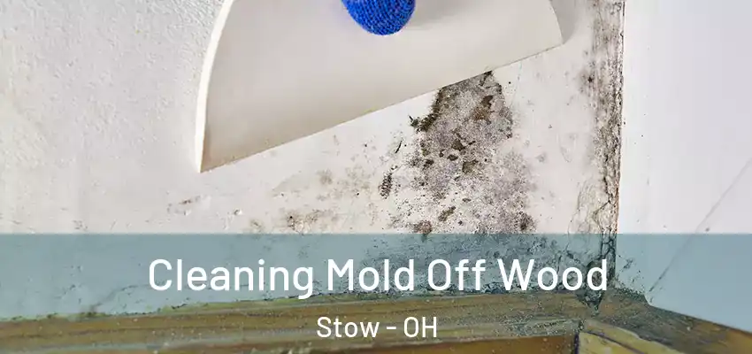  Cleaning Mold Off Wood Stow - OH