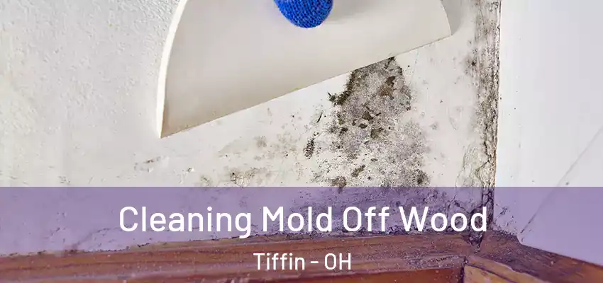 Cleaning Mold Off Wood Tiffin - OH