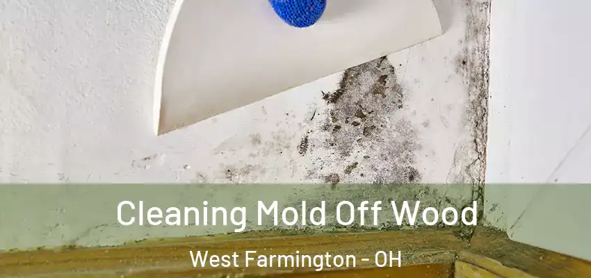  Cleaning Mold Off Wood West Farmington - OH