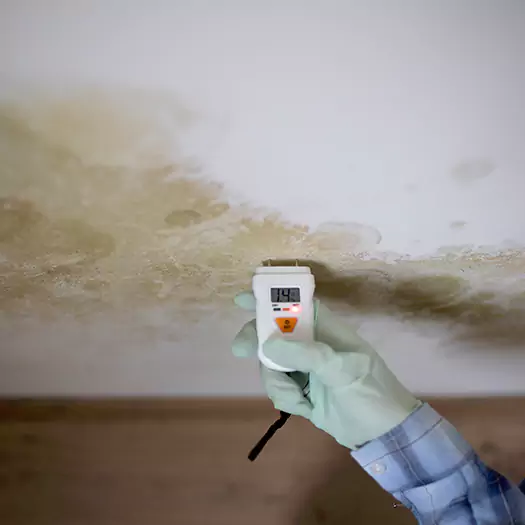 Reliable Mold Inspection Experts in Wooster, OH