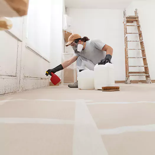 Reliable Mold Stain Remover Specialists in Wooster, OH