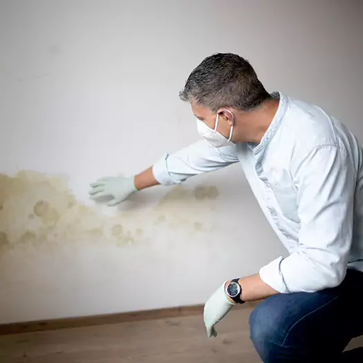 Trusted Mold Remediation and Removal Experts in Wooster, OH