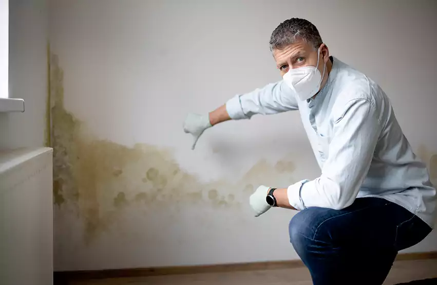 Mold Removal in Wooster, OH