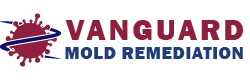 Vanguard Mold Remediation