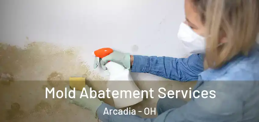  Mold Abatement Services Arcadia - OH
