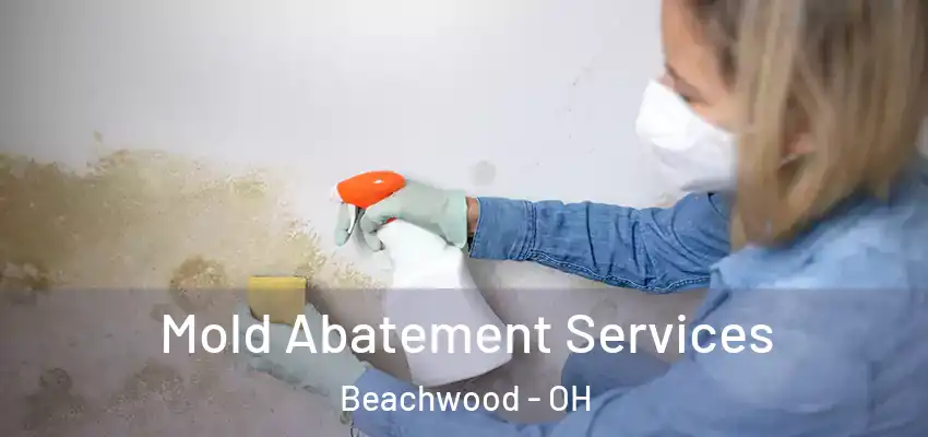  Mold Abatement Services Beachwood - OH