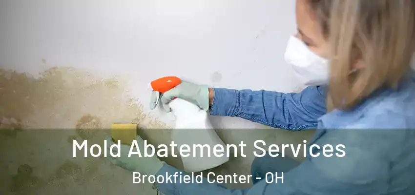  Mold Abatement Services Brookfield Center - OH
