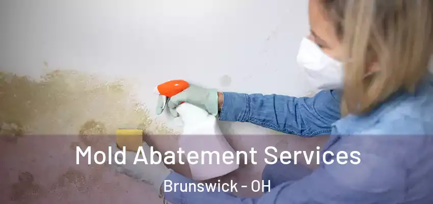Mold Abatement Services Brunswick - OH