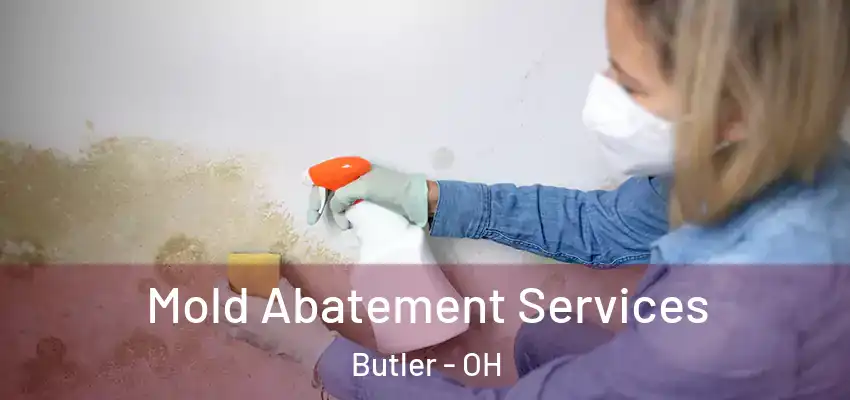 Mold Abatement Services Butler - OH