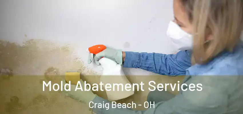  Mold Abatement Services Craig Beach - OH