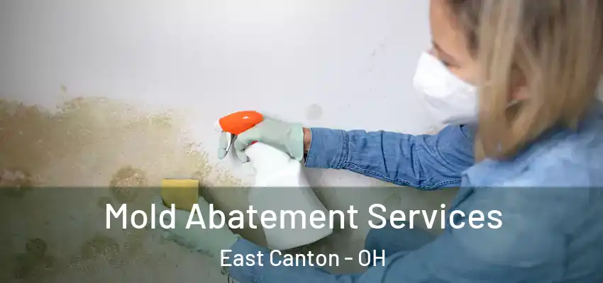 Mold Abatement Services East Canton - OH