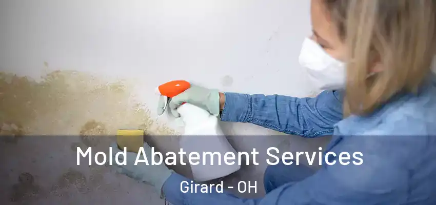 Mold Abatement Services Girard - OH