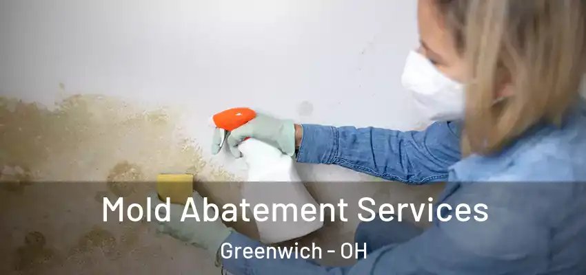Mold Abatement Services Greenwich - OH