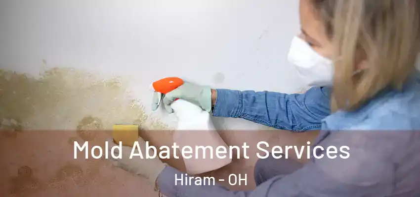Mold Abatement Services Hiram - OH