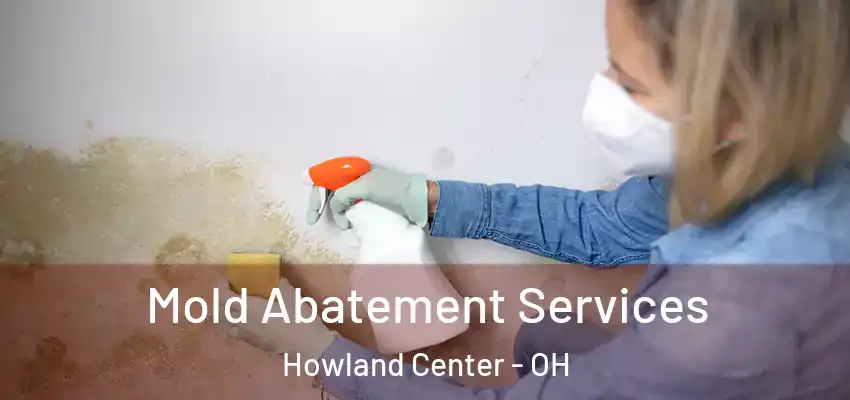  Mold Abatement Services Howland Center - OH