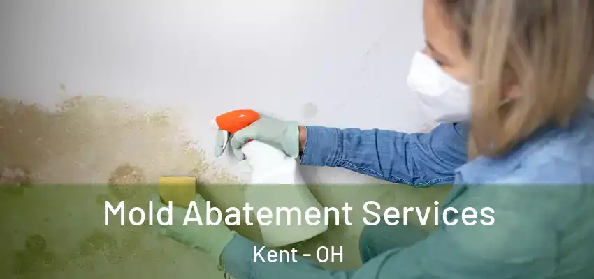 Mold Abatement Services Kent - OH