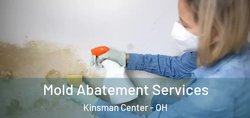  Mold Abatement Services Kinsman Center - OH