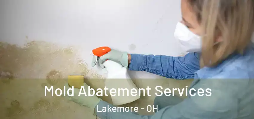 Mold Abatement Services Lakemore - OH