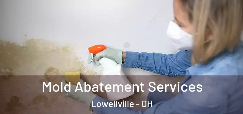 Mold Abatement Services Lowellville - OH