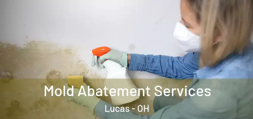 Mold Abatement Services Lucas - OH