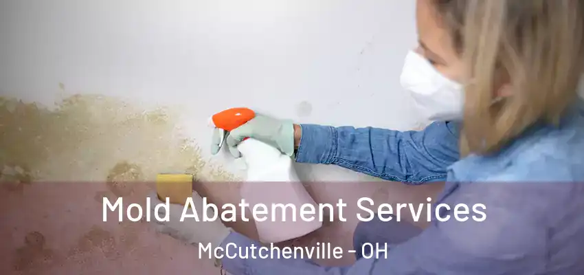 Mold Abatement Services McCutchenville - OH
