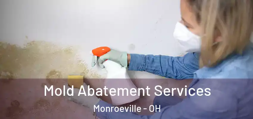 Mold Abatement Services Monroeville - OH