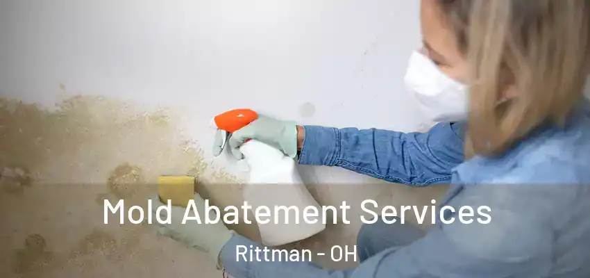 Mold Abatement Services Rittman - OH