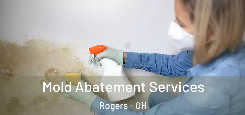 Mold Abatement Services Rogers - OH
