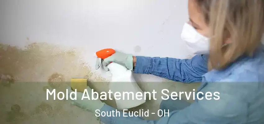 Mold Abatement Services South Euclid - OH