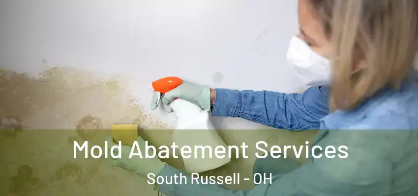  Mold Abatement Services South Russell - OH
