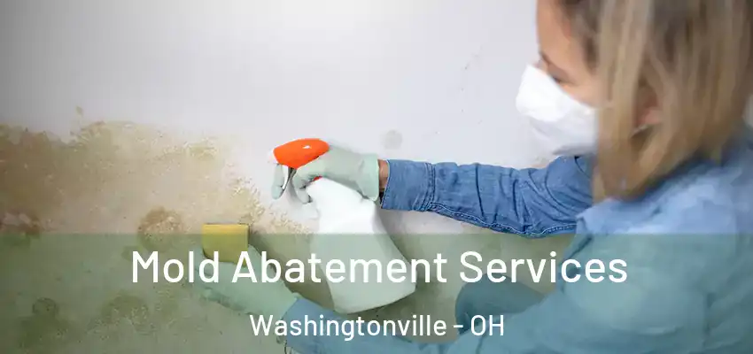  Mold Abatement Services Washingtonville - OH