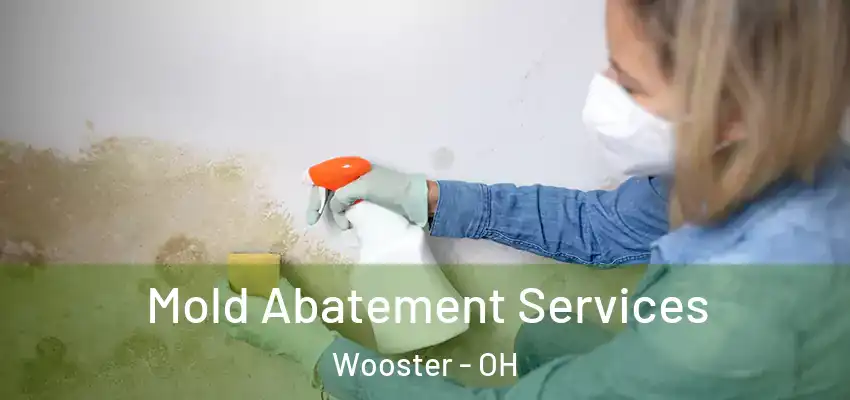 Mold Abatement Services Wooster - OH