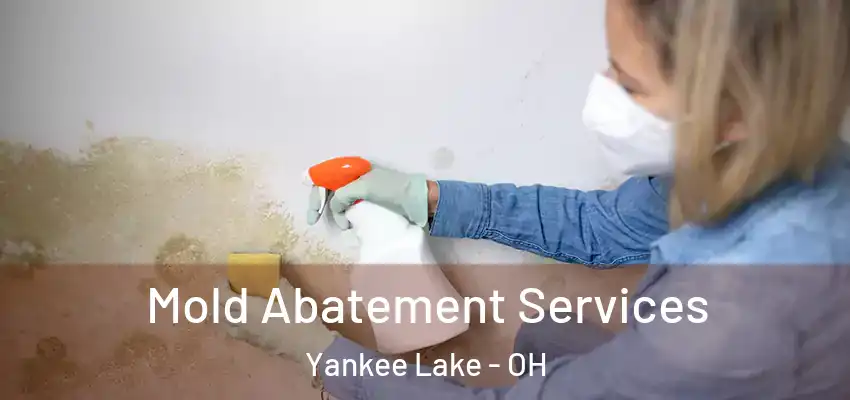  Mold Abatement Services Yankee Lake - OH