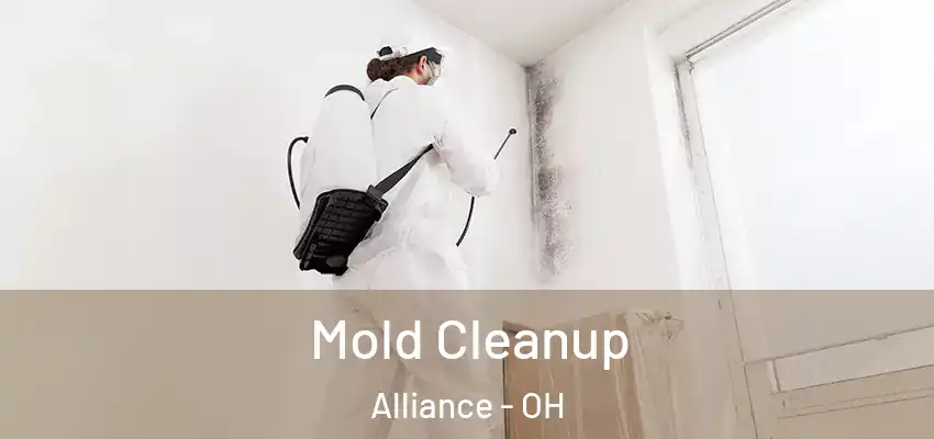 Mold Cleanup Alliance - OH