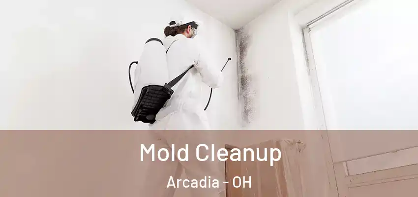 Mold Cleanup Arcadia - OH
