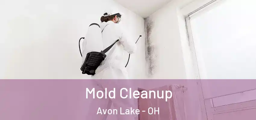 Mold Cleanup Avon Lake - OH