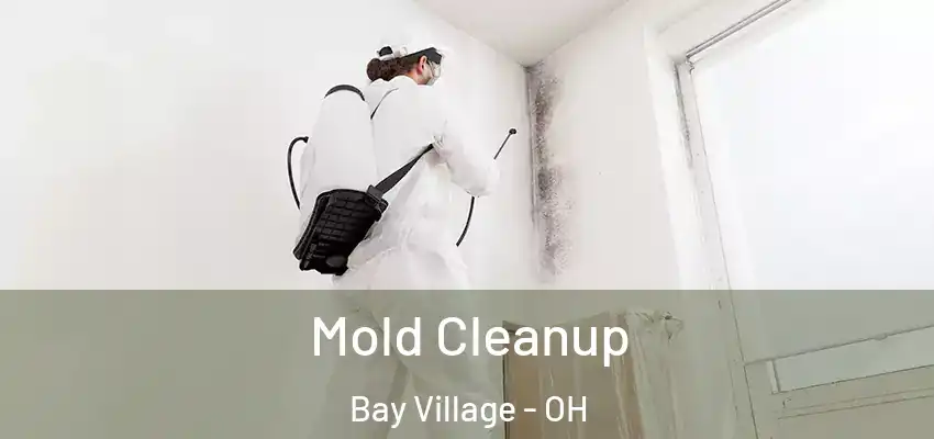 Mold Cleanup Bay Village - OH