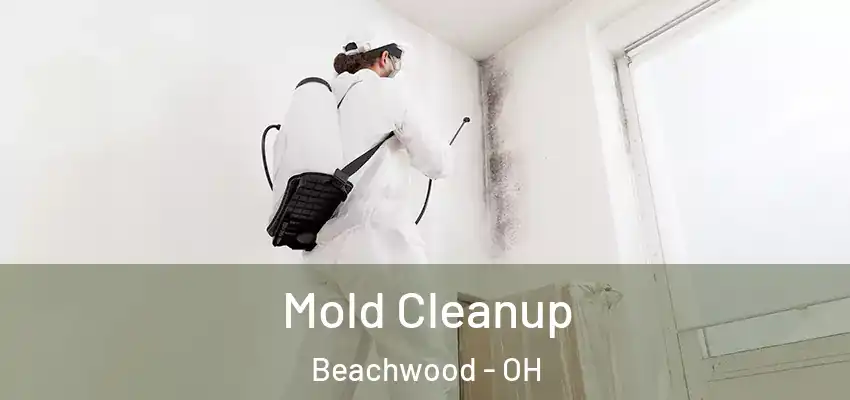  Mold Cleanup Beachwood - OH