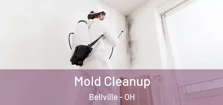 Mold Cleanup Bellville - OH