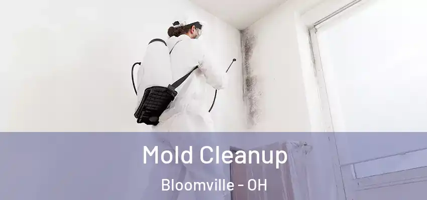  Mold Cleanup Bloomville - OH