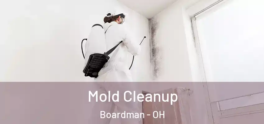Mold Cleanup Boardman - OH