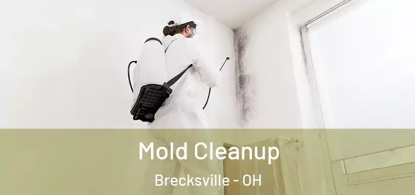  Mold Cleanup Brecksville - OH